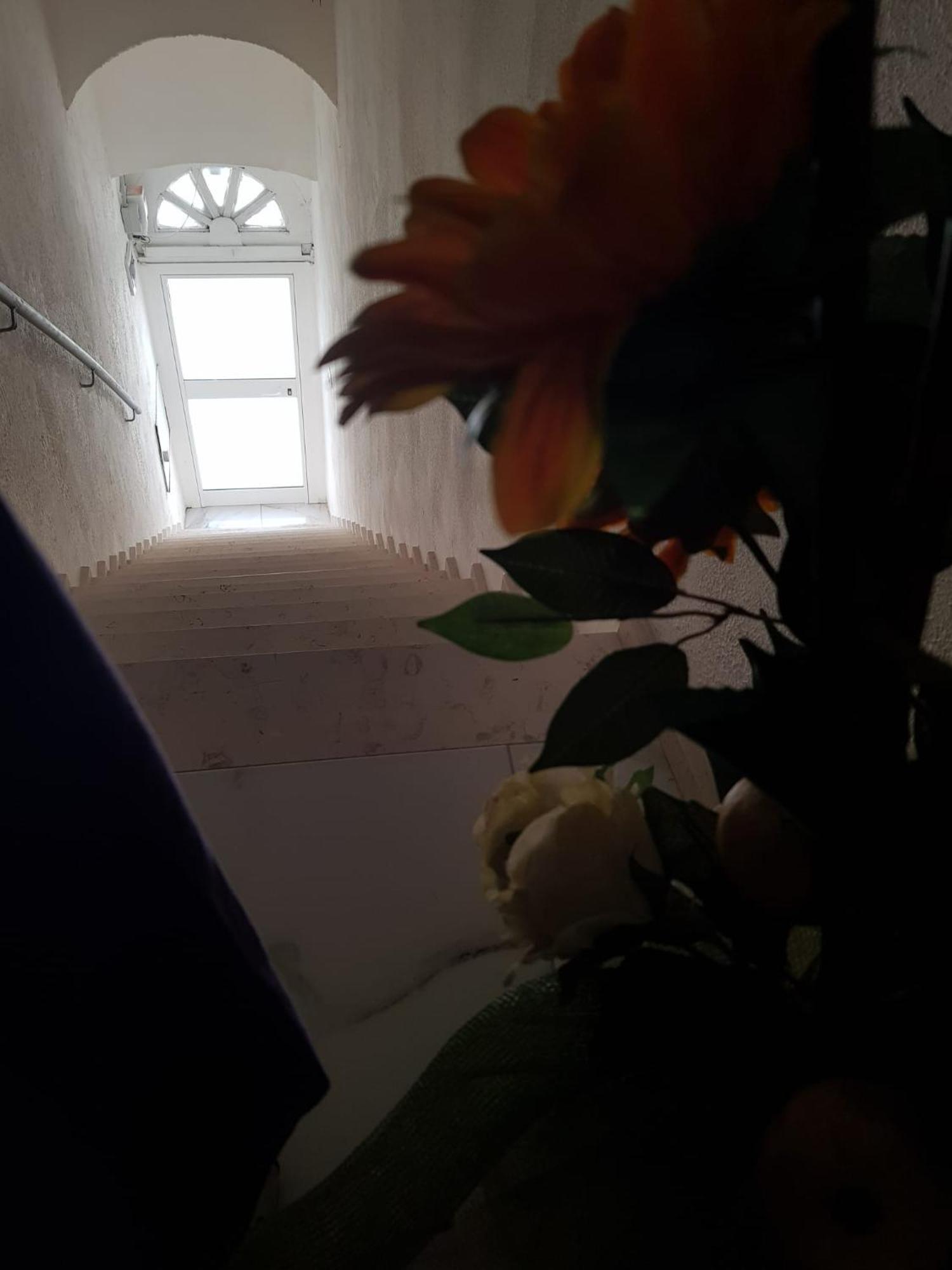 Di Fronzo Guest House T Триджано Екстериор снимка